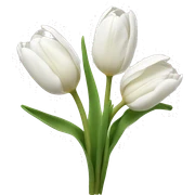 White tulips sticker