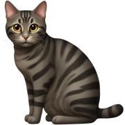 Dark tabby cat  sticker