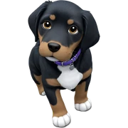 dog with collar outdoors sticker
