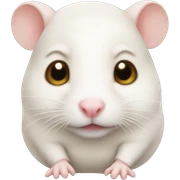 bald hamster  sticker