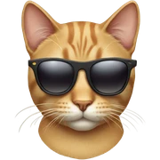 Cat with sunglasses sticker