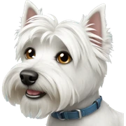 Westie dog sticker