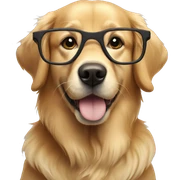 Golden retriever with eye glasses   sticker