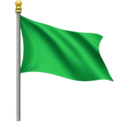 Green flag sticker