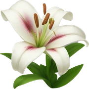 lily flower sticker