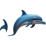 Sunset dolphin sticker