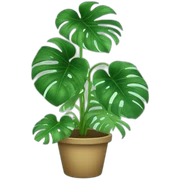 Monstera  sticker