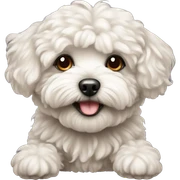 Cute maltipoo dog sticker