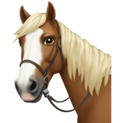Cavalo sticker