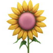 Pink sunflower sticker