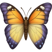 butterfly sticker