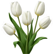 Tulipanes blancos  sticker