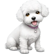 bichon sticker