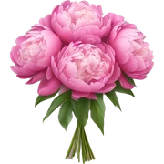Bouquet of peonies  sticker