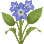 borage sticker