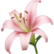 light pink lilium sticker