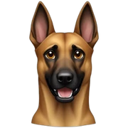 Malinois sticker
