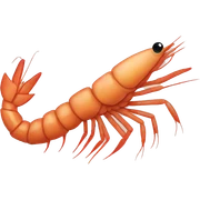 Shrimp sticker