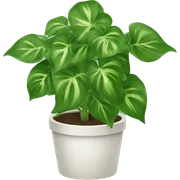 pothos plant sticker