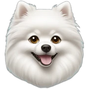 White Pomeranian sticker