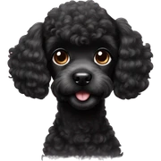 black poodle puppy sticker