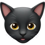 Black cat  sticker