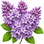 Lilacs flowers sticker