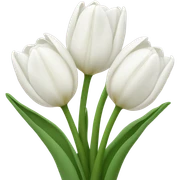 White tulips  sticker