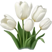 White tulips sticker