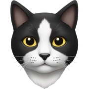 Black and white cat sticker