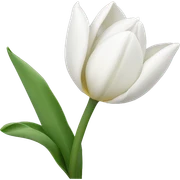 white tulips sticker