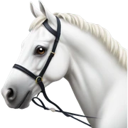 HORSE RACING white horse sticker