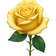 Yellow rose sticker