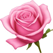 pink rose sticker
