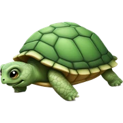 Turtle sticker