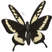 mariposa negra sticker