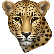 Leopard  sticker