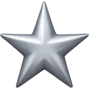 silver star  sticker
