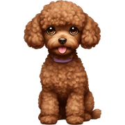 Toy poodle,brown sticker