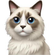 ragdoll cat sticker