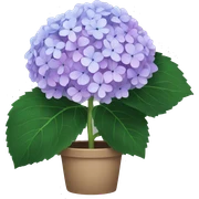 Hydrangea sticker