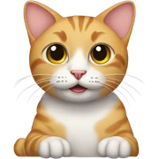 Car cat sticker