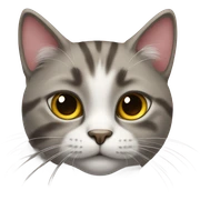 Gato sticker