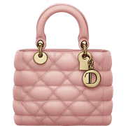 Dior bag  sticker
