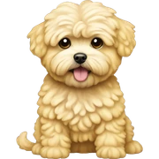 Yellow maltipoo sticker