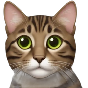 Dark Brown europen tabby cat, Green eyes sticker