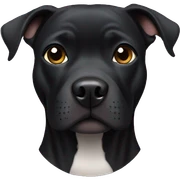 black pitbull  sticker