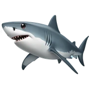 shark  sticker