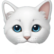 weiße babykatze mit tiefblauen augen sticker