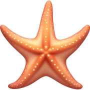 Starfish  sticker
